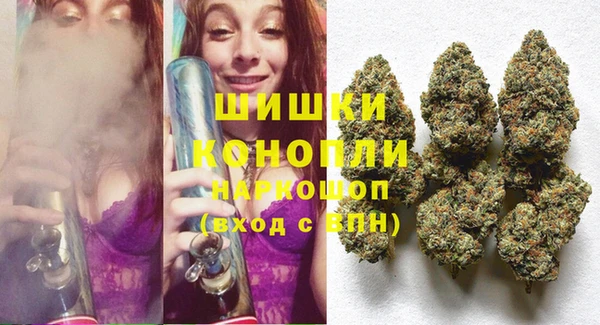 дживик Белокуриха