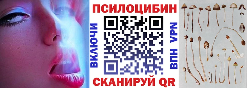 продажа наркотиков  Новоалександровск  Псилоцибиновые грибы Psilocybine cubensis 